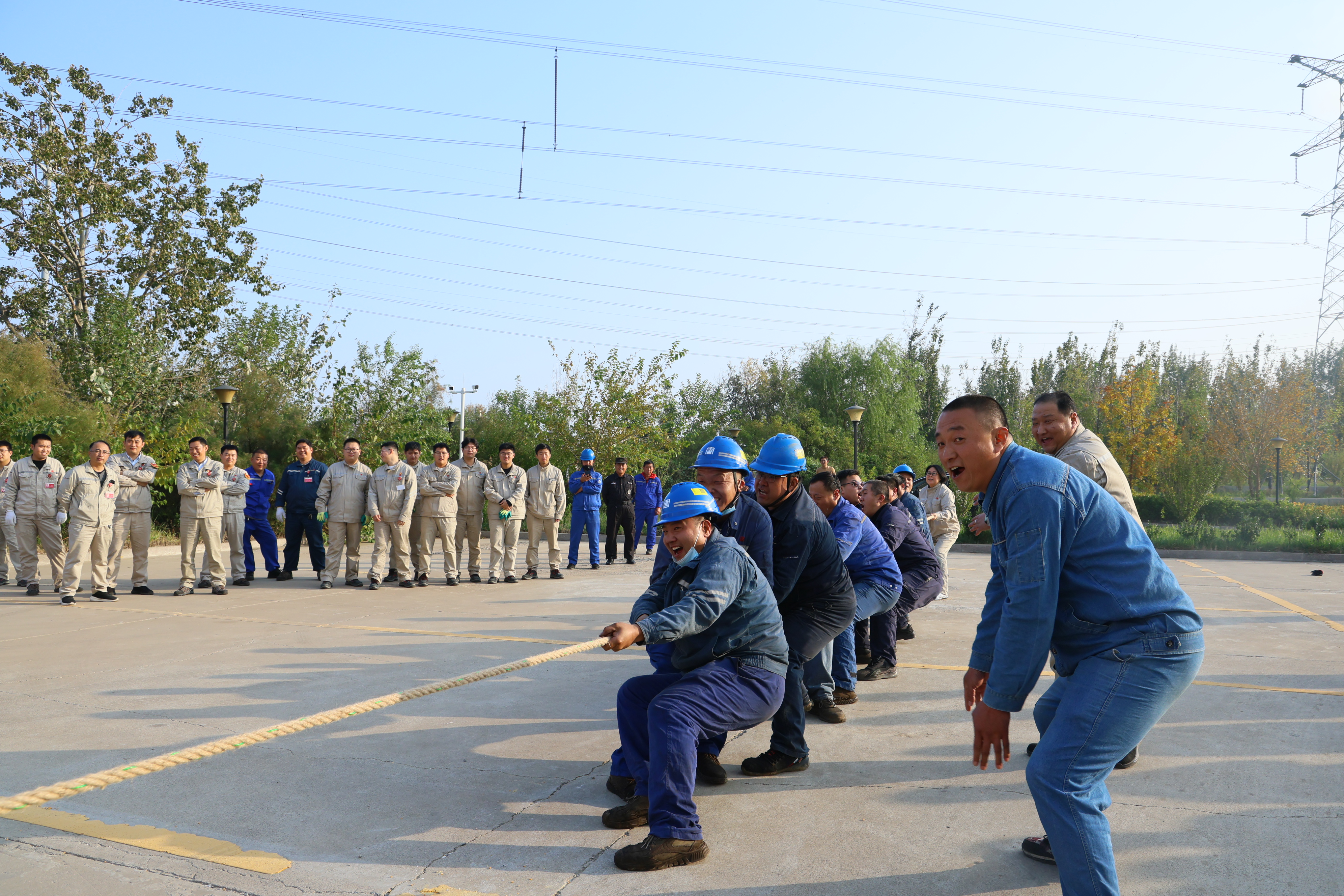 1732598320437071039.jpg 圖片3.jpg